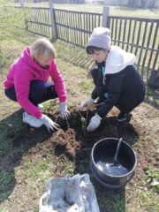 Акция "Посади дерево"